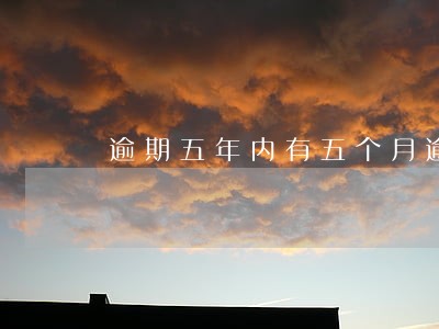 逾期五年内有五个月逾期状态 逾期五年内有五个月逾期状态