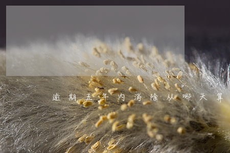 逾期五年内消除从哪天算 逾期五年内消除从哪天算