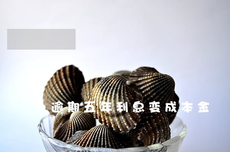 逾期五年利息变成本金 逾期五年利息变成本金