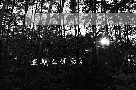 逾期五年后6 逾期五年后6