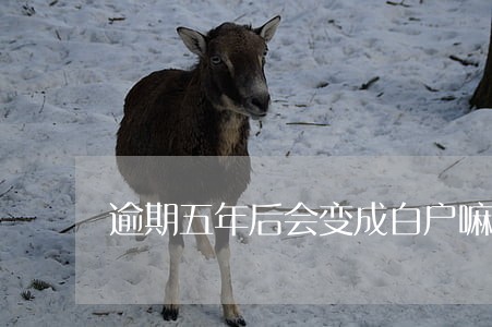 逾期五年后会变成白户嘛 逾期五年后会变成白户嘛