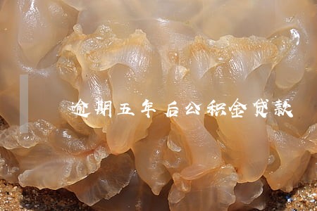 逾期五年后公积金贷款 逾期五年后公积金贷款