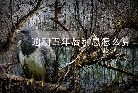 逾期五年后利息怎么算 逾期五年后利息怎么算