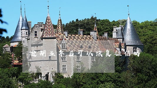 逾期五年后可以恢复征信吗 逾期五年后可以恢复征信吗