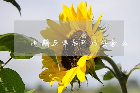逾期五年后可以贷款么 逾期五年后可以贷款么
