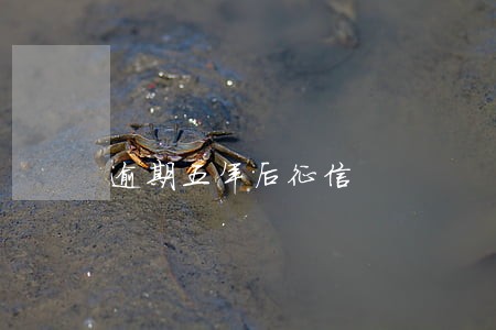 逾期五年后征信 逾期五年后征信