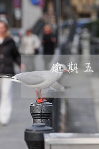 逾期五年后征信没有恢复怎么办 逾期五年后征信没有恢复怎么办