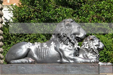 逾期五年后怎么还款 逾期五年后怎么还款