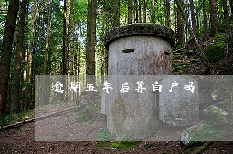 逾期五年后算白户吗 逾期五年后算白户吗
