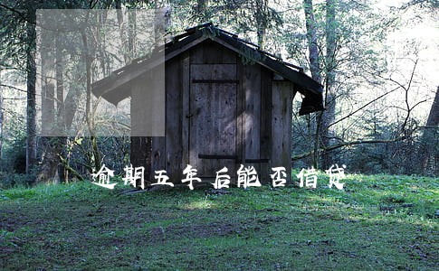逾期五年后能否借贷 逾期五年后能否借贷