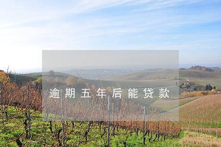 逾期五年后能贷款 逾期五年后能贷款