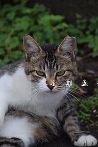 逾期五年后记录会消失 逾期五年后记录会消失