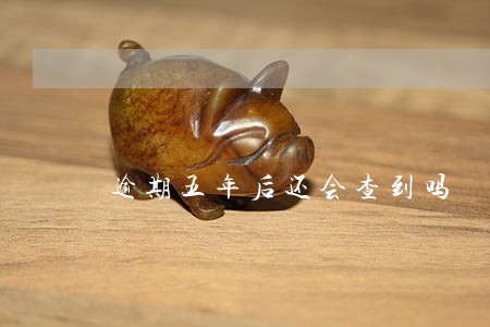 逾期五年后还会查到吗 逾期五年后还会查到吗