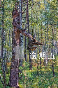 逾期五年后还可以办信用卡吗