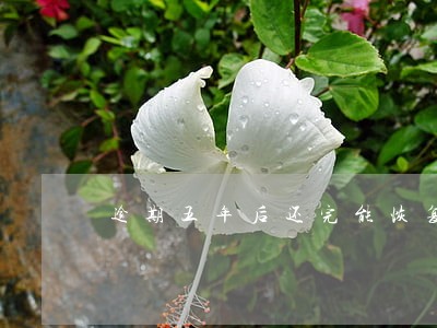 逾期五年后还完能恢复吗 逾期五年后还完能恢复吗