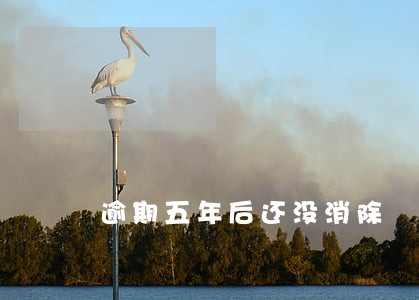 逾期五年后还没消除 逾期五年后还没消除