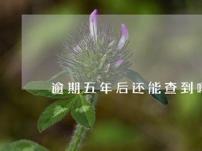 逾期五年后还能查到吗 逾期五年后还能查到吗