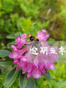 逾期五年当天消除吗