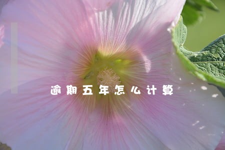 逾期五年怎么计算 逾期五年怎么计算