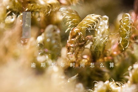 逾期五年时间怎么算
