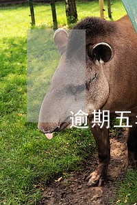 逾期五年是彻底清除吗