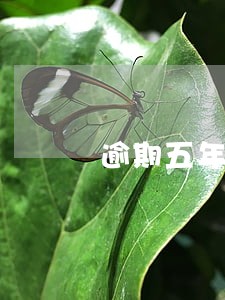 逾期五年是怎么算的 逾期五年是怎么算的