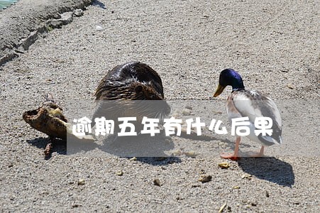 逾期五年有什么后果 逾期五年有什么后果