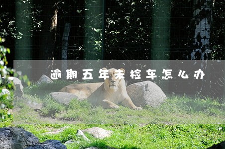 逾期五年未检车怎么办 逾期五年未检车怎么办