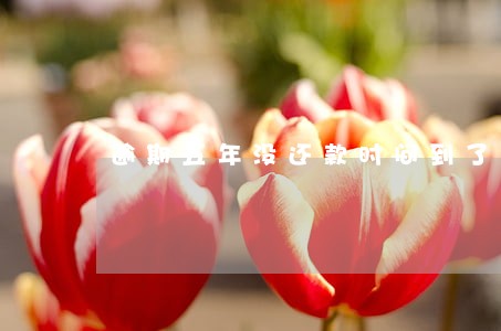 逾期五年没还款时间到了怎么办