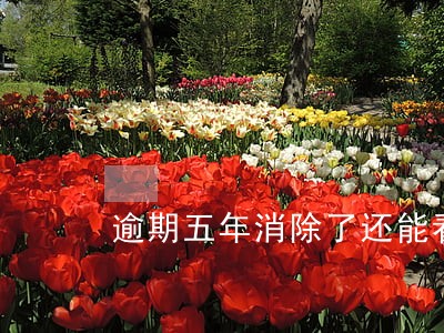 逾期五年消除了还能看到吗 逾期五年消除了还能看到吗