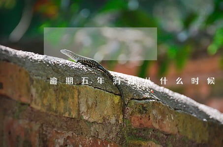逾期五年消除从什么时候算起 逾期五年消除从什么时候算起