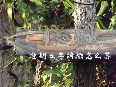 逾期五年消除怎么算 逾期五年消除怎么算