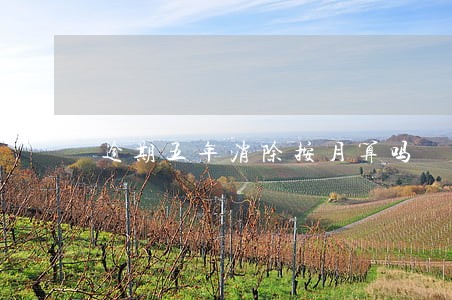 逾期五年消除按月算吗 逾期五年消除按月算吗