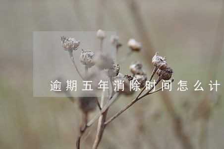 逾期五年消除时间怎么计算 逾期五年消除时间怎么计算