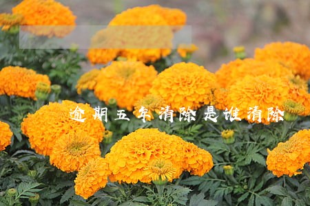 逾期五年清除是谁清除 逾期五年清除是谁清除