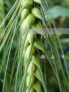 逾期五年的代价 逾期五年的代价