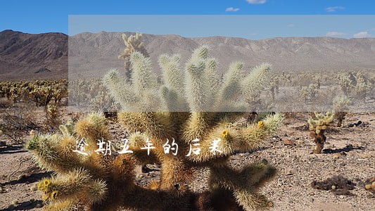 逾期五年的后果 逾期五年的后果
