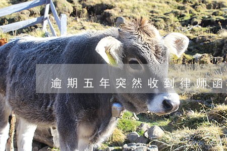 逾期五年突然收到律师函 逾期五年突然收到律师函
