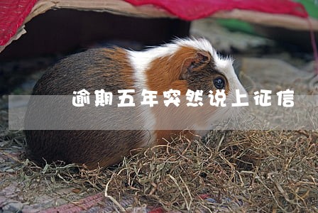 逾期五年突然说上征信 逾期五年突然说上征信