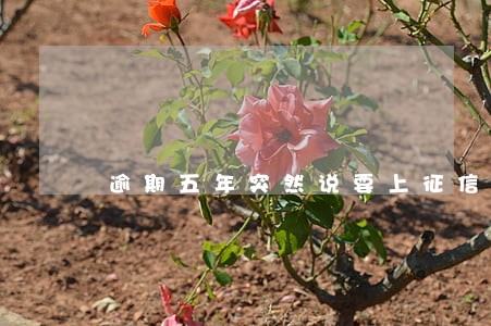 逾期五年突然说要上征信 逾期五年突然说要上征信