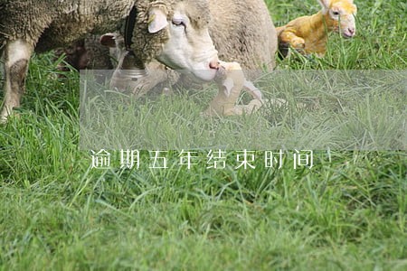 逾期五年结束时间 逾期五年结束时间