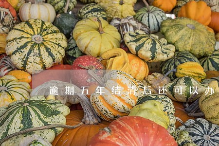 逾期五年结清后还可以办理房贷吗 逾期五年结清后还可以办理房贷吗