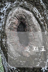 逾期五年能买机票么 逾期五年能买机票么