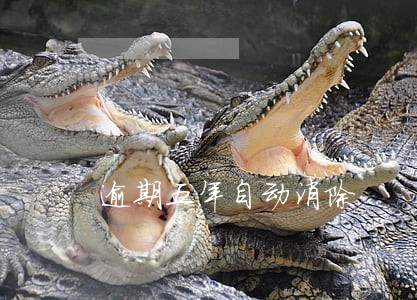 逾期五年自动消除 逾期五年自动消除
