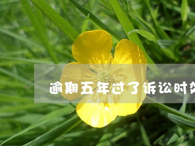 逾期五年过了诉讼时效怎么办 逾期五年过了诉讼时效怎么办