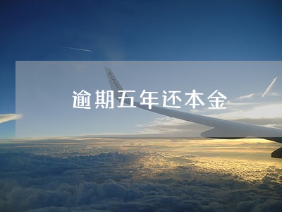 逾期五年还本金 逾期五年还本金