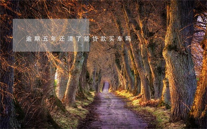 逾期五年还清了能贷款买车吗 逾期五年还清了能贷款买车吗