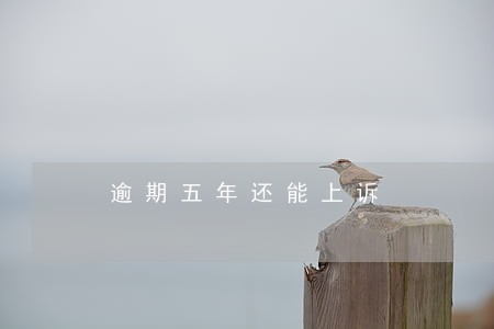 逾期五年还能上诉 逾期五年还能上诉