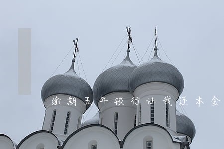 逾期五年银行让我还本金