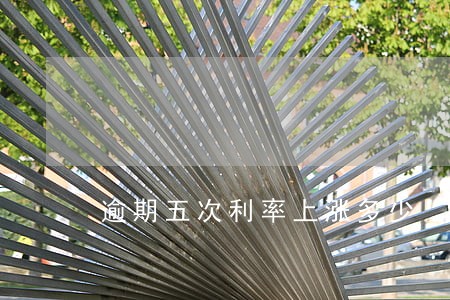 逾期五次利率上涨多少 逾期五次利率上涨多少